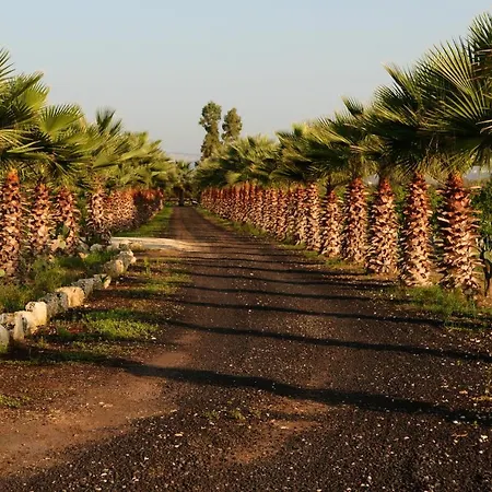 Papyrus Farma Syracuse