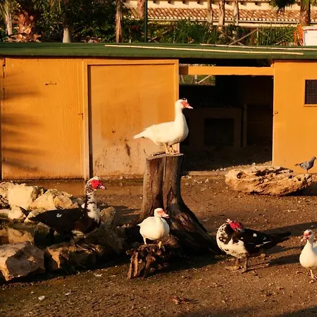 Papyrus Farmház Szirakúza