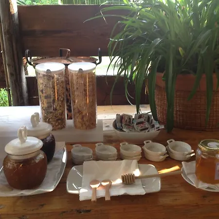 Papyrus Farma Syracuse