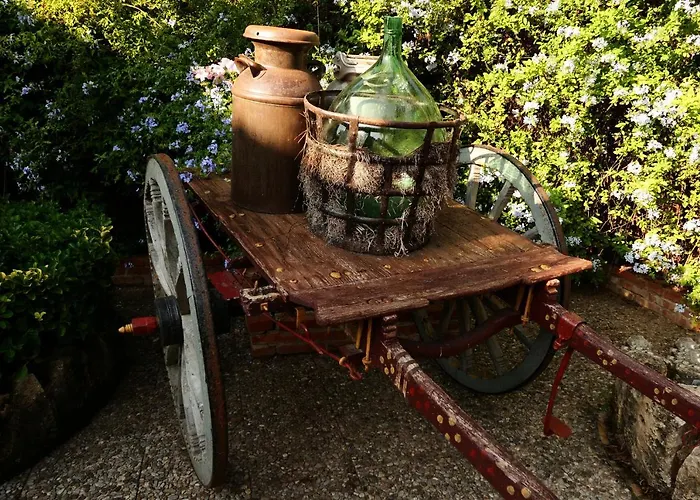 Papyrus סירקוזה