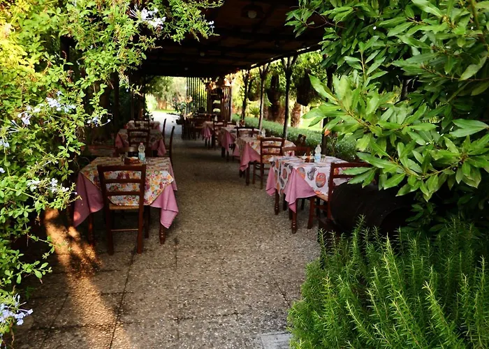 Papyrus בית חווה