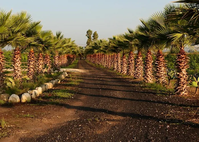 Papyrus בית חווה סירקוזה