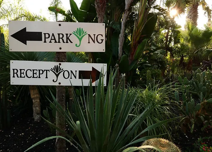 Papyrus בית חווה