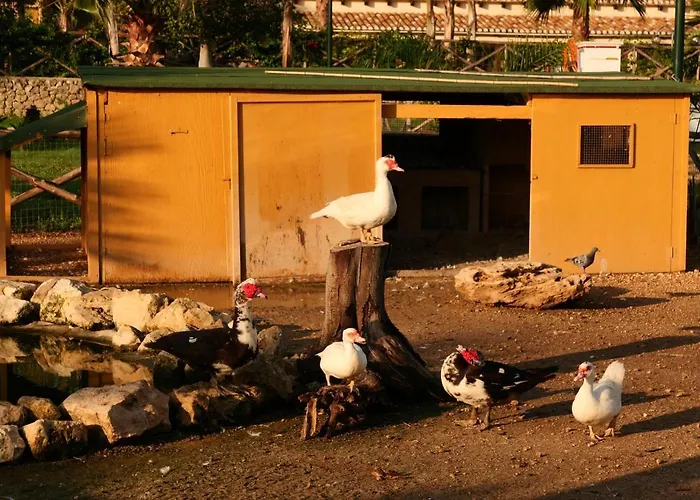 Papyrus בית חווה סירקוזה